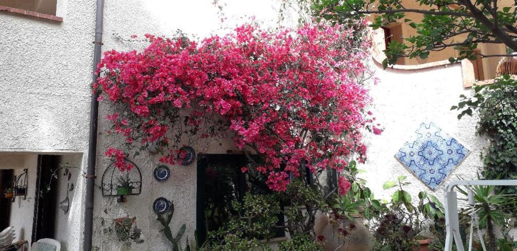 كاستيلاّماري ديل غو Holiday Home Cala Bianca المظهر الخارجي الصورة