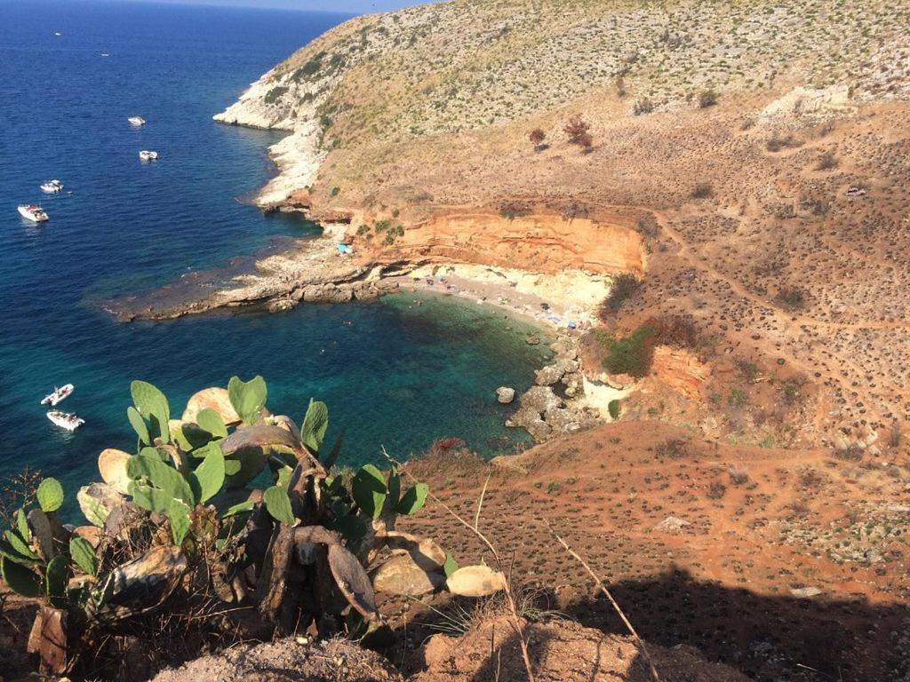 كاستيلاّماري ديل غو Holiday Home Cala Bianca المظهر الخارجي الصورة